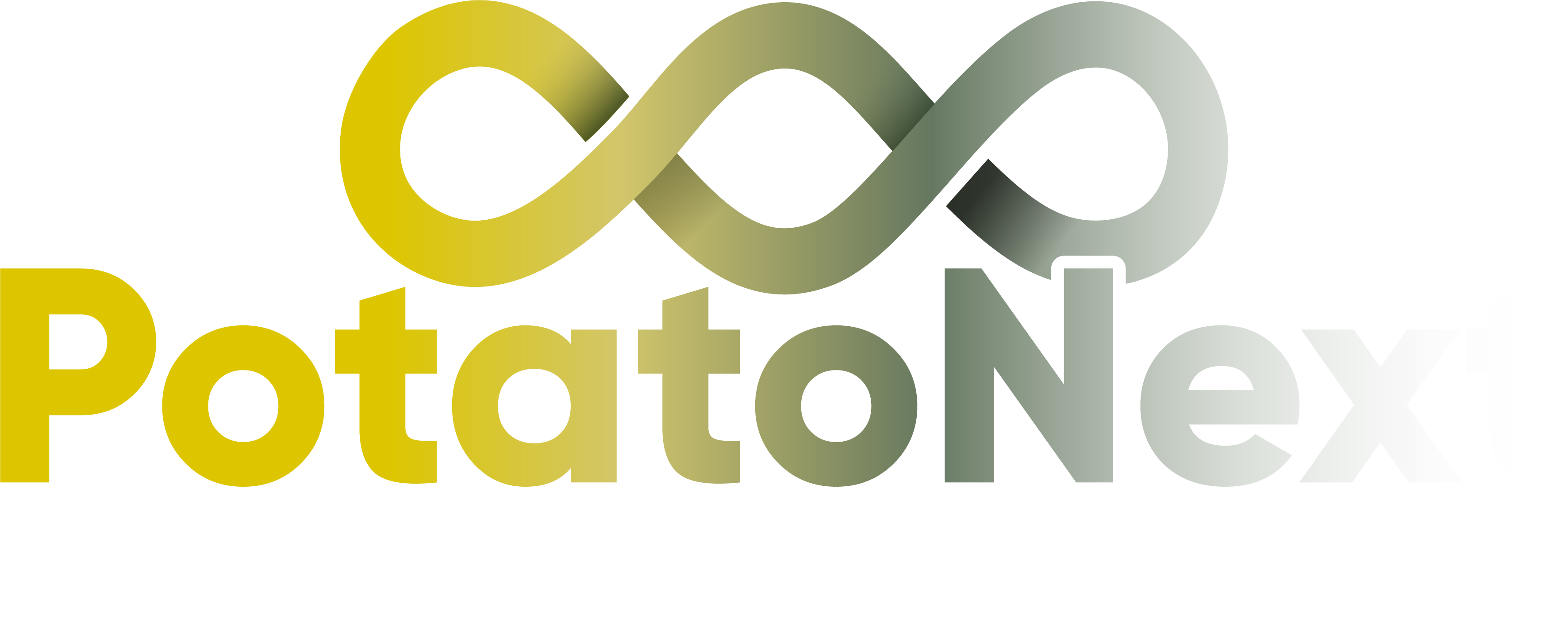 Logo van PotatoNext